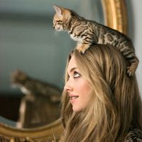 оригинальный звук