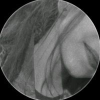 Nandani__gupta04x