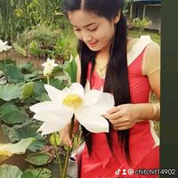 chitchit14902