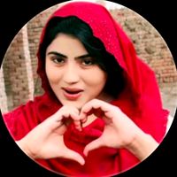 gulbhar.ali12