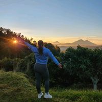 marleneyaqui