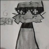 gray.96