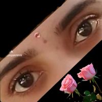 suvi3628