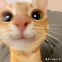 pinky_magar1