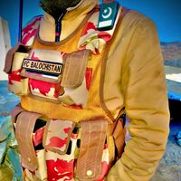 gulzarahmed6592