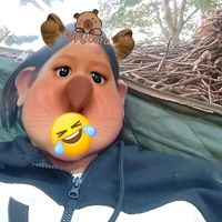 tran_dich_hang013