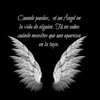 adrian_8638