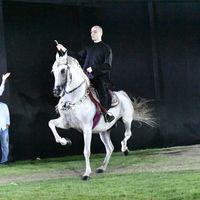 ahmedsarhan567