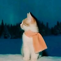 nhạc nền - 🌷♪eranlee♪ đu otp🌻