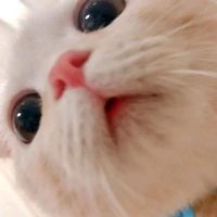 오리지널 사운드 - 데루