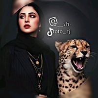 toto_.tj