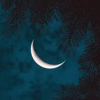 original sound - softorbit1413