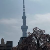 aonorikunn