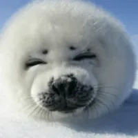 original sound - min_yu412