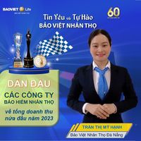 nhạc nền - Mỹ Hạnh Bảo Việt