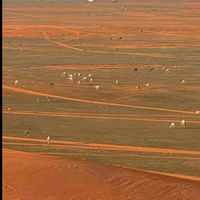 الصوت الأصلي