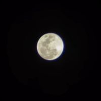 yobanireyes54