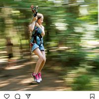 sheki.zipline