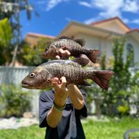 harleysfishing