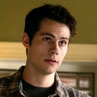 void_stiles19