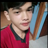 phusin476