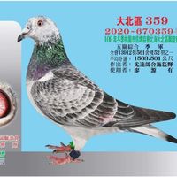 odayo69