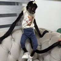 luna_mariamonita