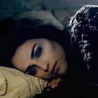 original sound - comet🌀🦋