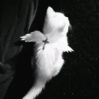 original sound - sofiwx.musik