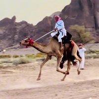 الصوت الأصلي