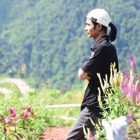 ahsaw257