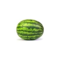 bro.im.a.watermelon