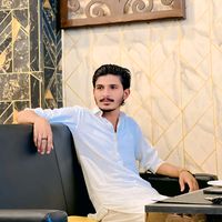 hamzaameer2604
