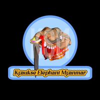 kyaukseelephantmyanmar