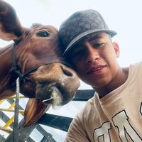 mauriciotx4