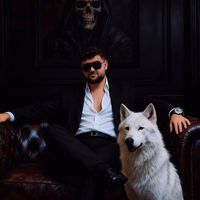 emredestioglu07