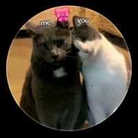 เสียงต้นฉบับ - บสสาแยนดนนพนไรคดนนพัรTsim Lau