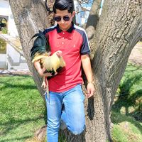 gustavo.contreras681