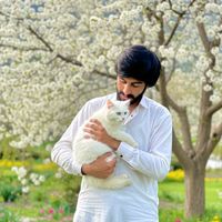sana.ullah.123454