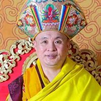 jigme.wangchuck8