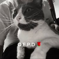 jul1ann_sn1p3r