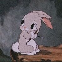 dear_leeu