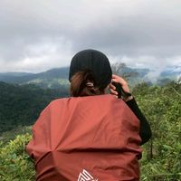 apin_256