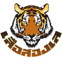 original sound - tiger2sea