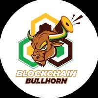_.blockchainbullhorn_