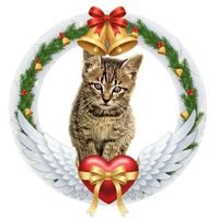 オリジナル楽曲 - ta🌙🐾ka