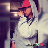 andi.cito01