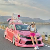 pink_1000.bo
