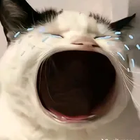 original sound - huyosr