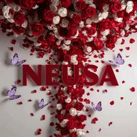 neusaandrade444